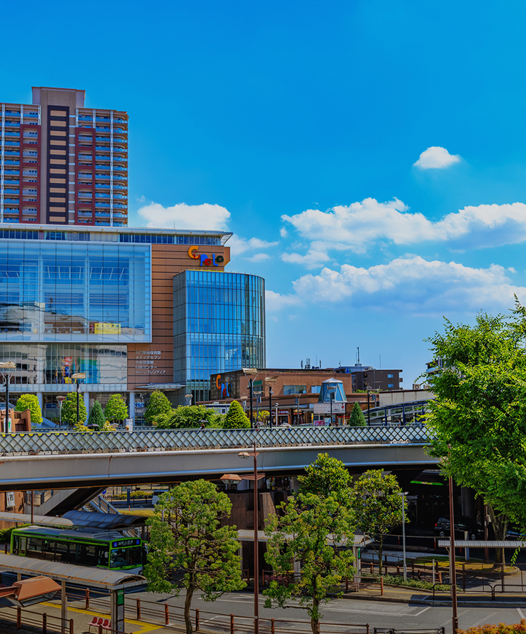 学校法人文化学園