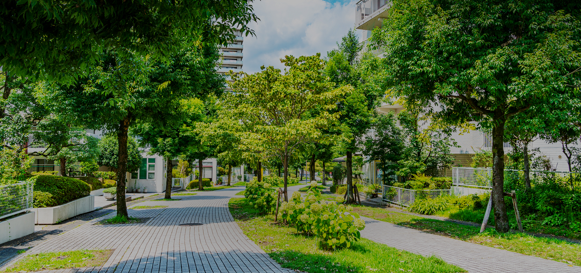 学校法人文化学園