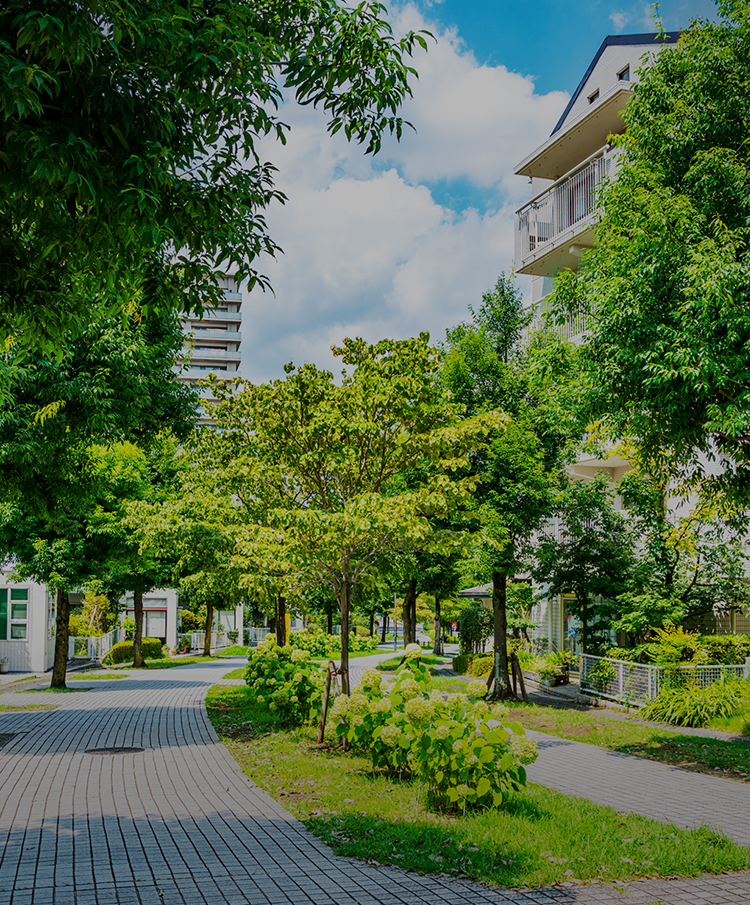 学校法人文化学園